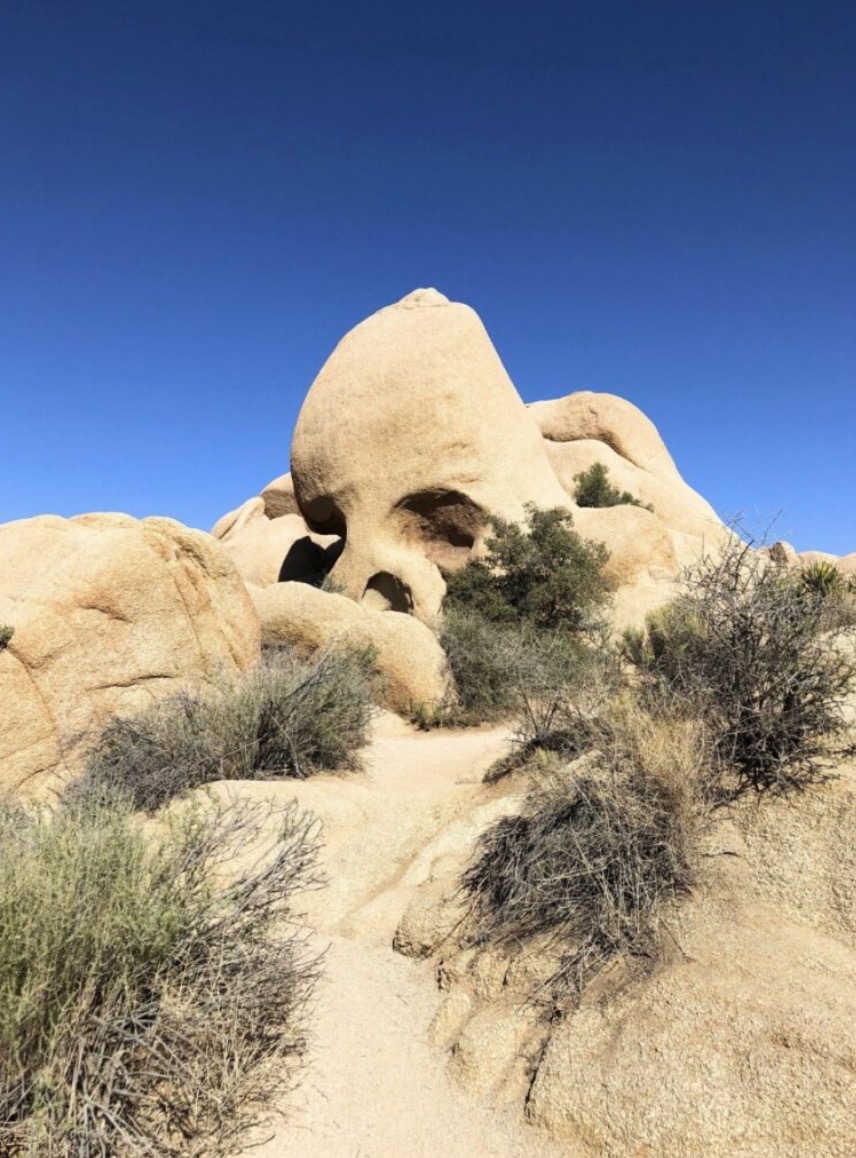 Joshua Tree National Park